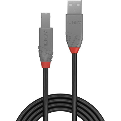 LINDY Câble 2.0 USB A vers USB B de 2 Mètres
