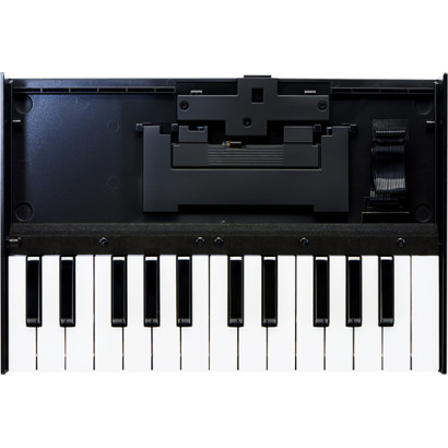 Roland Boutique K-25m